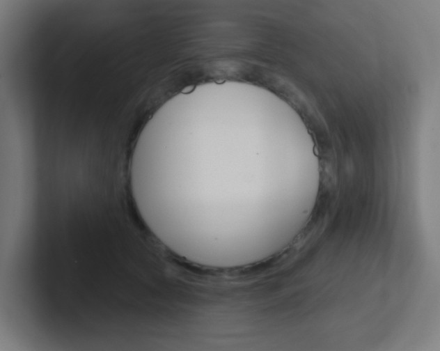 X0000102410561200808011018