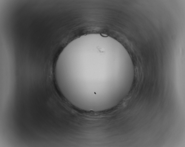 X0000102410564200808011018
