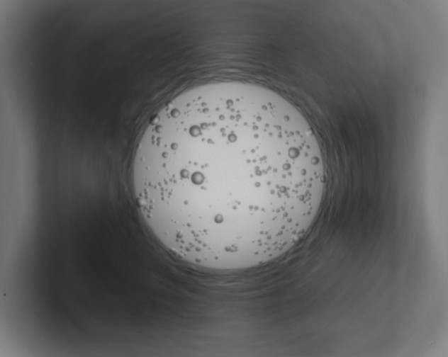 X0000102410566200808011018
