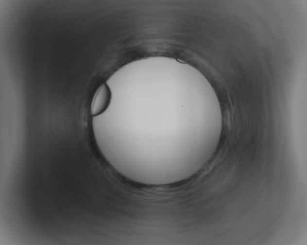 X0000102410567200808011018