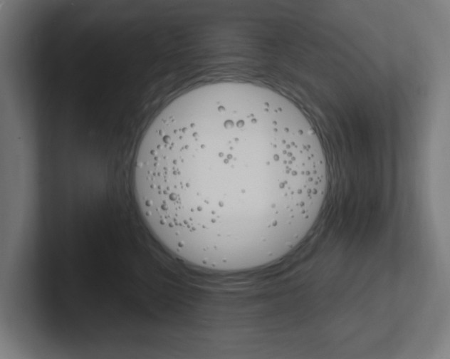 X0000102410568200808011018