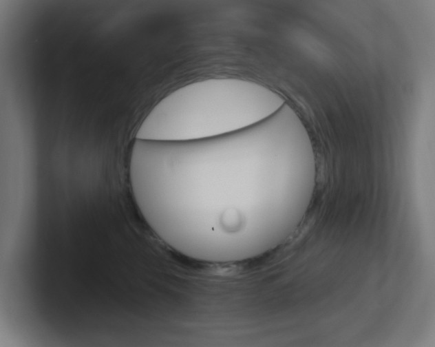 X0000102410569200808011018