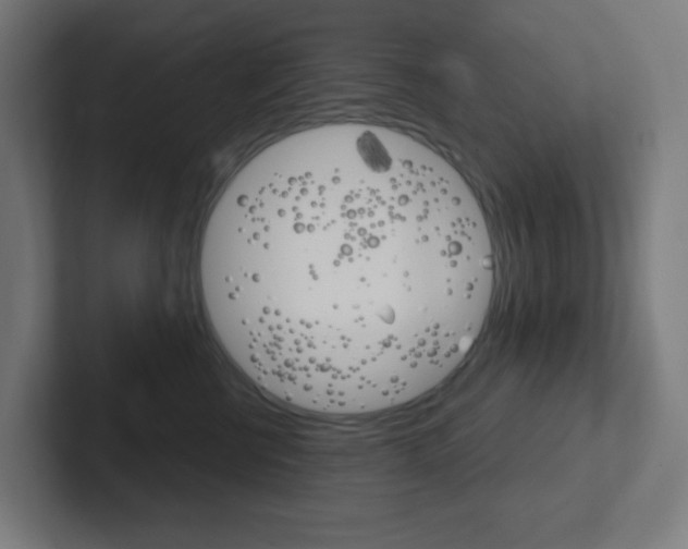 X0000102410570200808011018