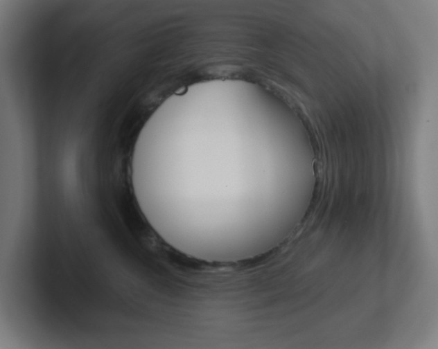X0000102410572200808011018