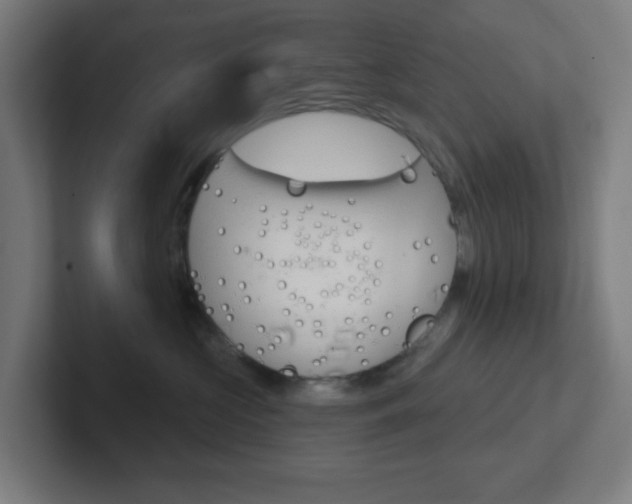 X0000102410573200808011018
