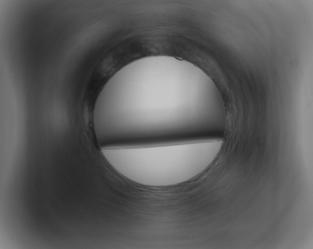 X0000102410574200808011018