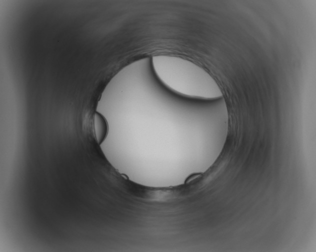 X0000102410575200808011018