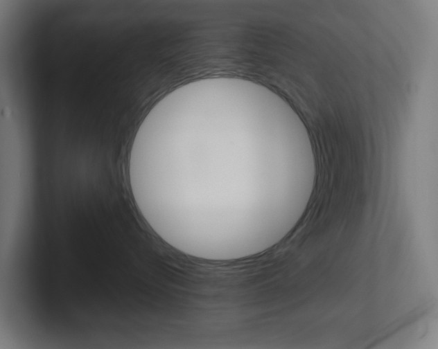 X0000102410576200808011019