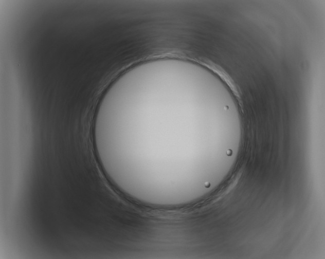 X0000102410577200808011018