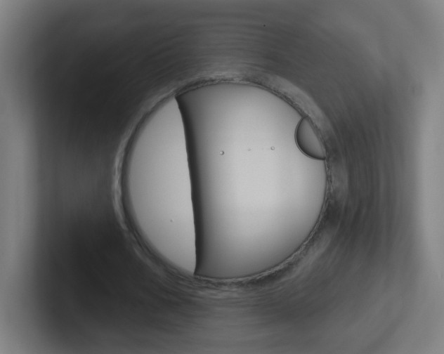 X0000102410578200808011018