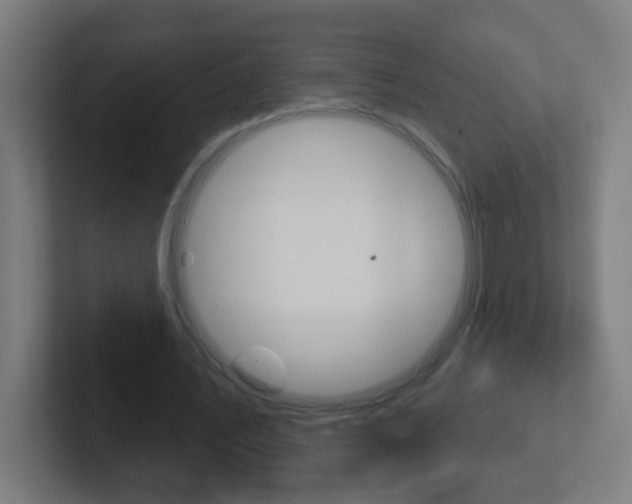 X0000102410579200808011018