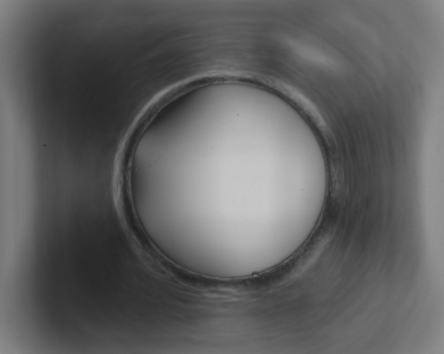 X0000102410580200808011018
