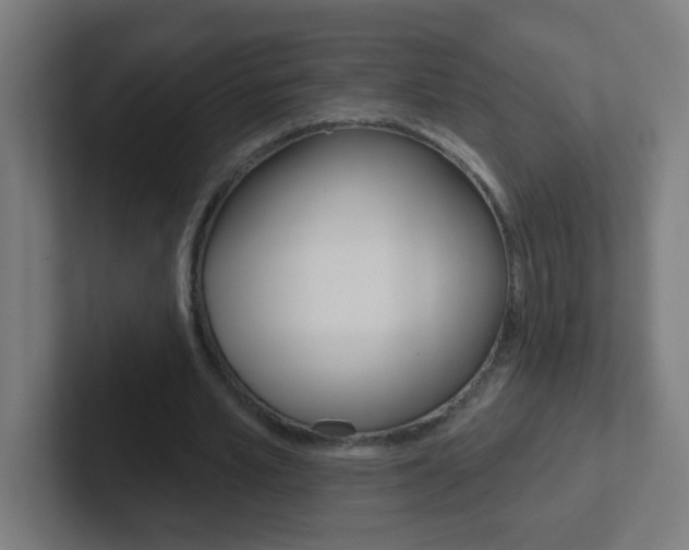 X0000102410581200808011018