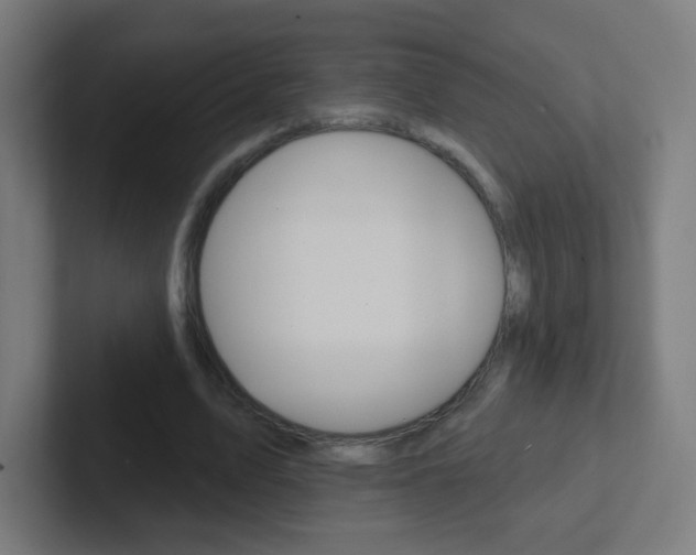 X0000102410583200808011018
