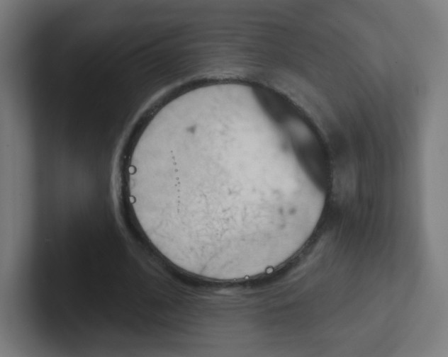 X0000102410584200808011018