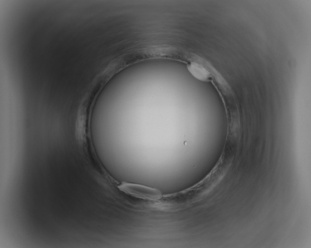 X0000102410585200808011018