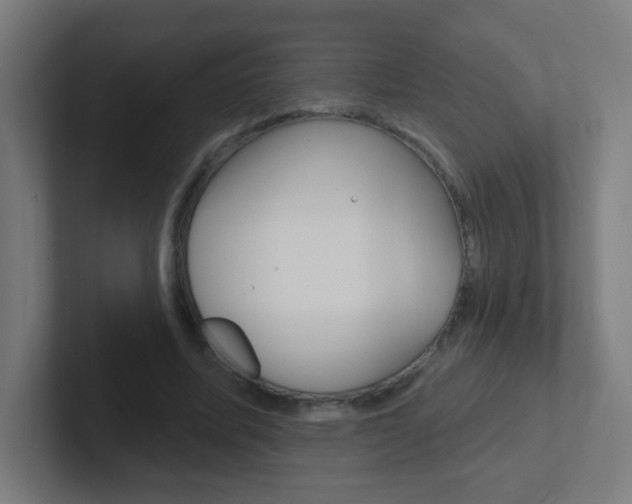 X0000102410587200808011018