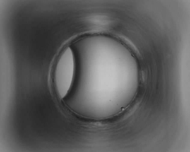 X0000102410588200808011018