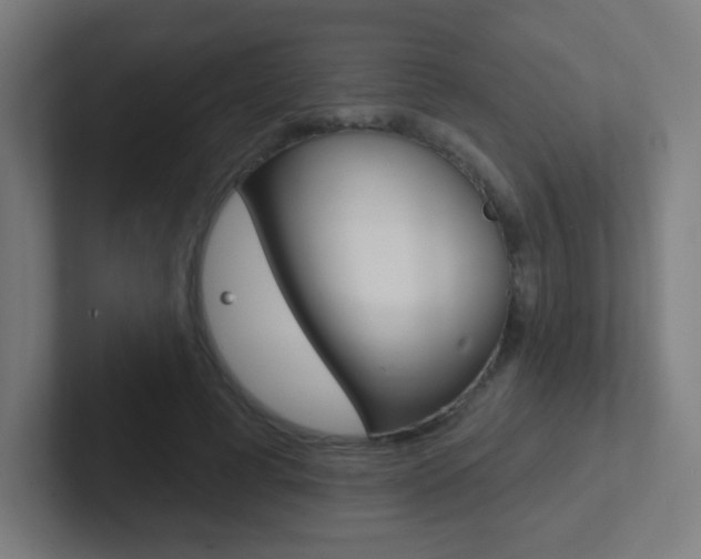 X0000102410593200808011018