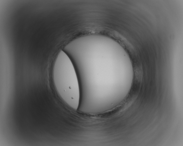 X0000102410594200808011018