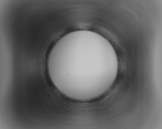 X0000102410595200808011018