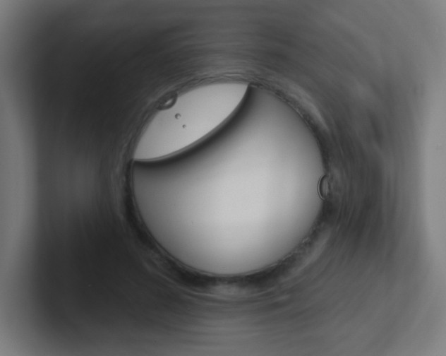 X0000102410596200808011018