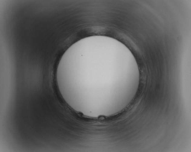 X0000102410597200808011018
