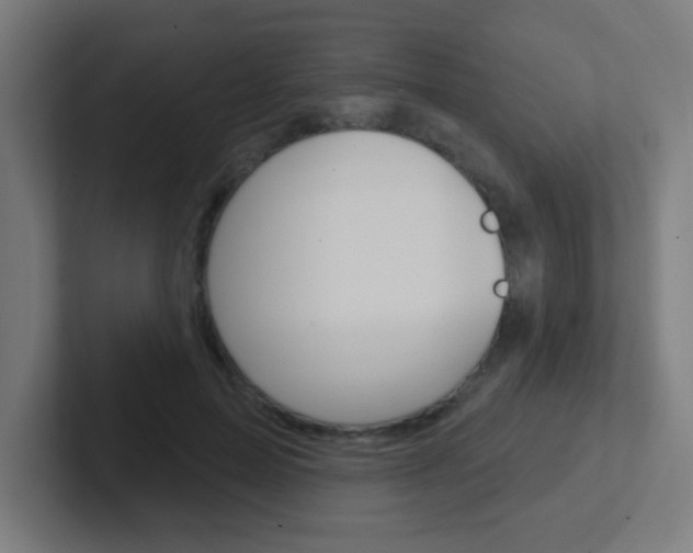 X0000102410599200808011018