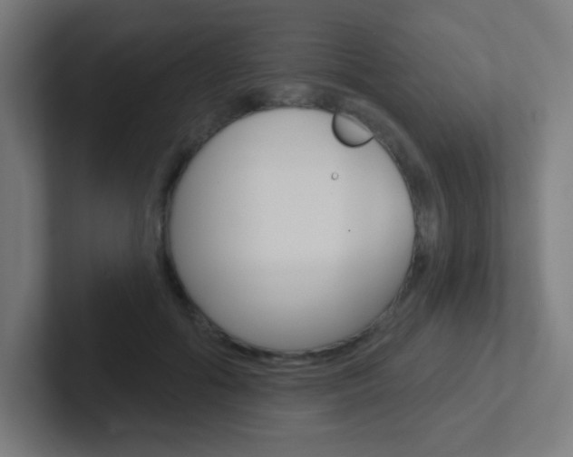 X0000102410602200808011018