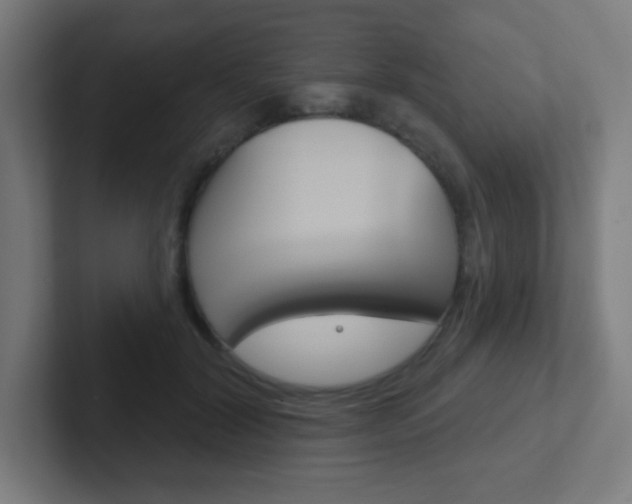 X0000102410604200808011017