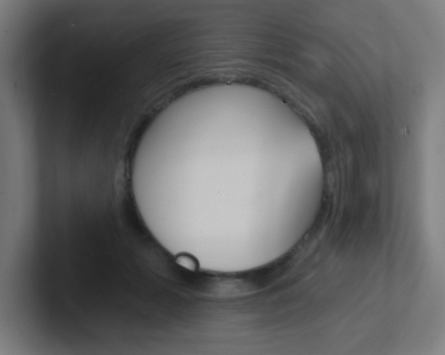X0000102410605200808011017