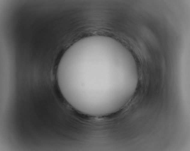 X0000102410607200808011017