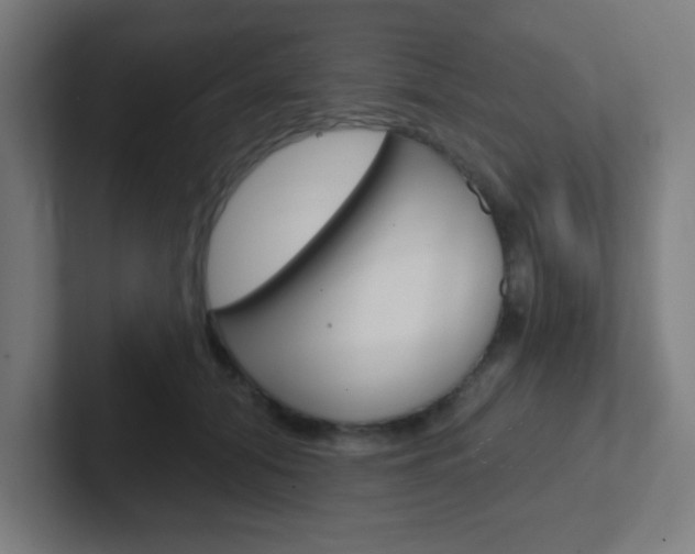 X0000102410608200808011017