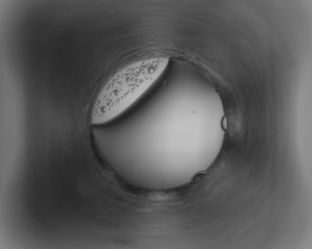 X0000102410613200808011017