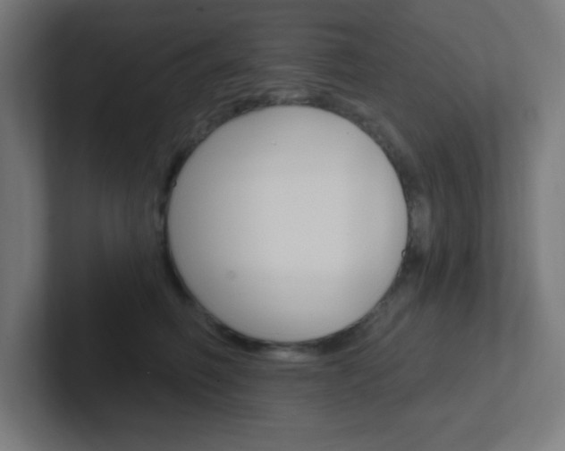 X0000102410614200808011017