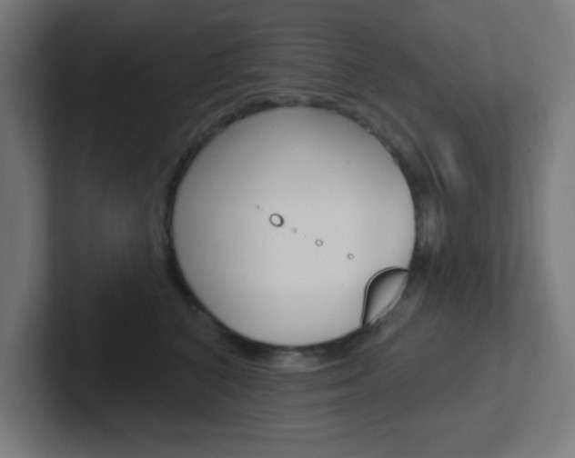 X0000102410616200808011017