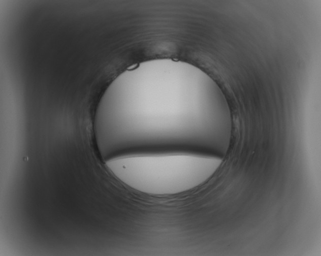 X0000102410617200808011017