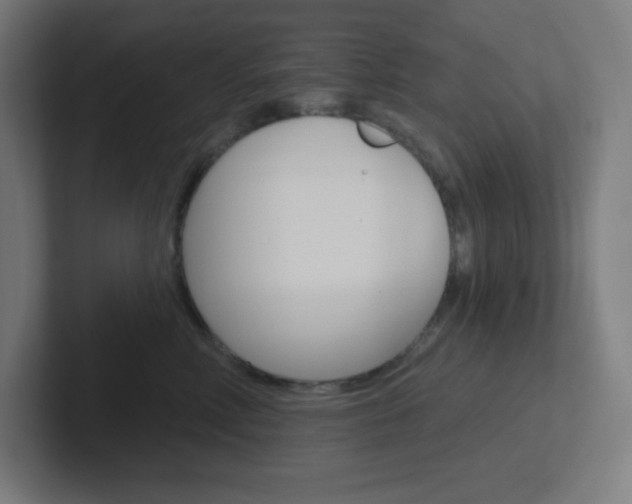 X0000102410618200808011017
