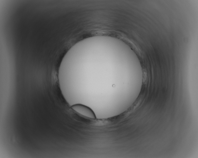 X0000102410621200808011017