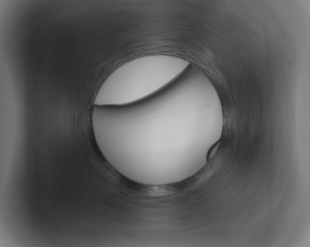 X0000102410623200808011017