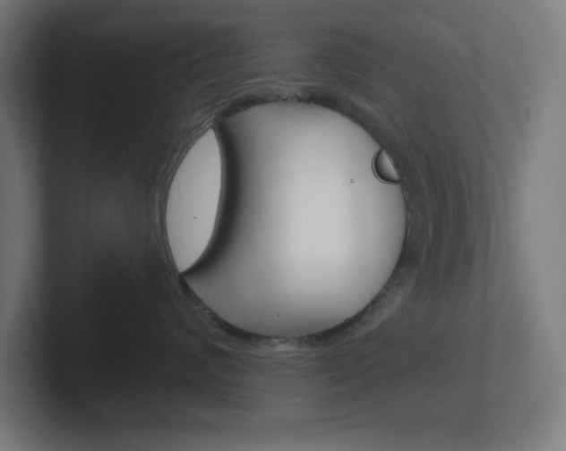 X0000102410624200808011017