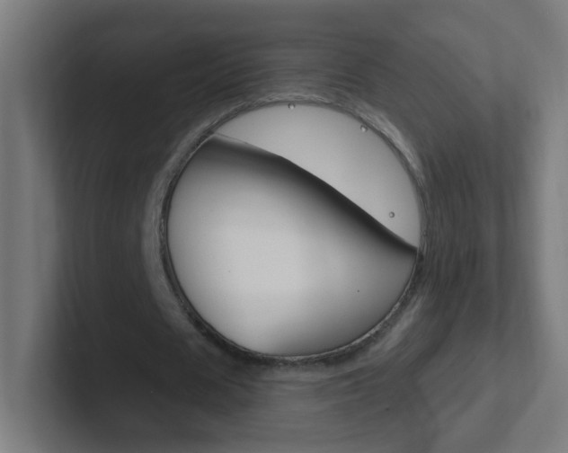 X0000102410625200808011017
