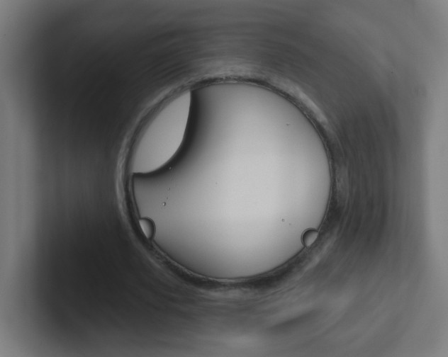 X0000102410629200808011017