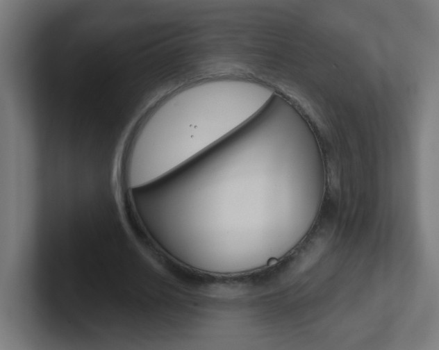 X0000102410630200808011017