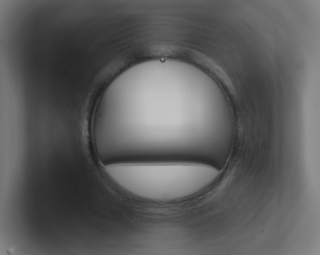 X0000102410633200808011017