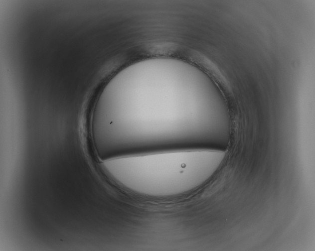 X0000102410634200808011017
