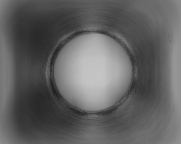 X0000102410636200808011017