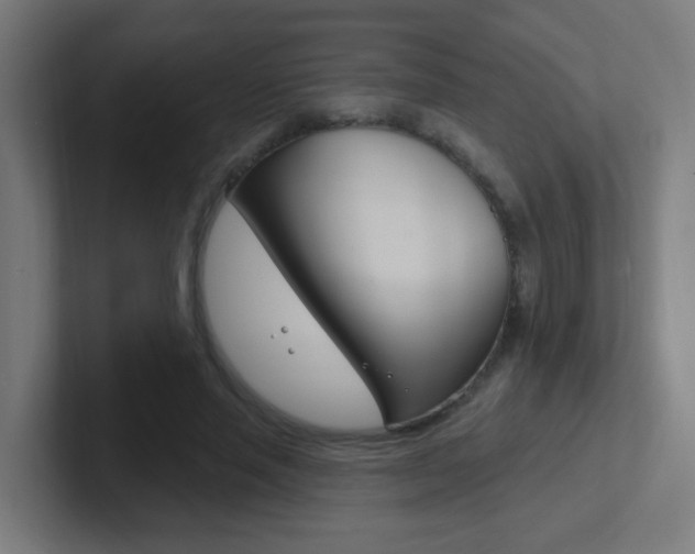 X0000102410637200808011017