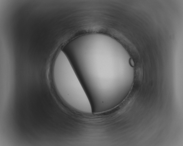 X0000102410638200808011017
