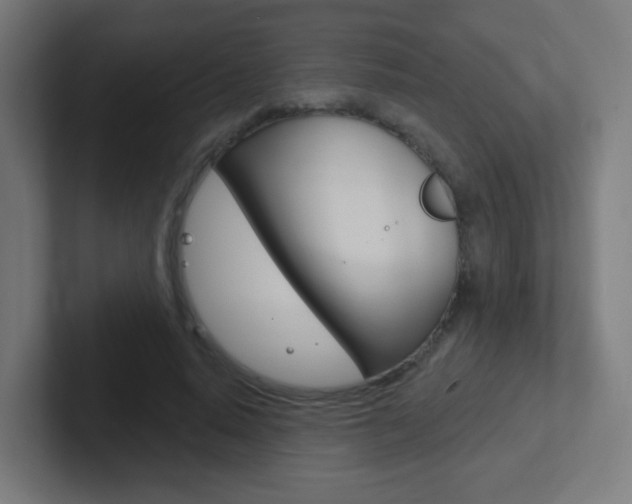 X0000102410640200808011017
